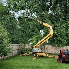 Best Tree Preservation Services  in Churchville, NY